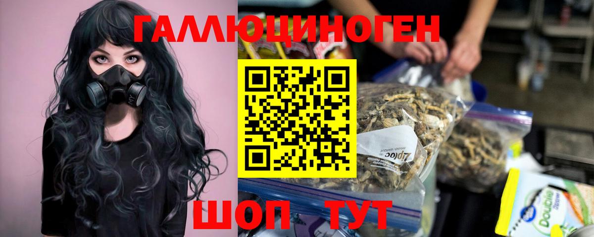Спасск-Дальний  Галлюциногенные грибы GOLDEN TEACHER  Вход с VPN 